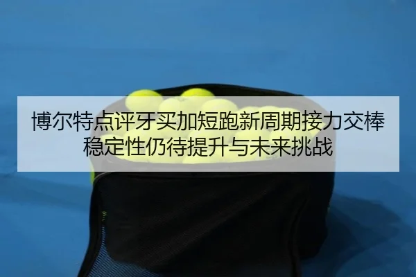 bo-er-te-dian-ping-ya-mai-jia-duan-pao-xin-zhou-qi-jie-li-jiao-bang-wen-ding-xing-reng-dai-ti-sheng-yu-wei-lai-tiao-zhan-2-351.jpg